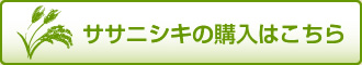 ササニシキの購入はこちら