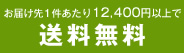 9120円以上で送料無料