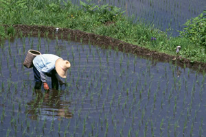 登米市